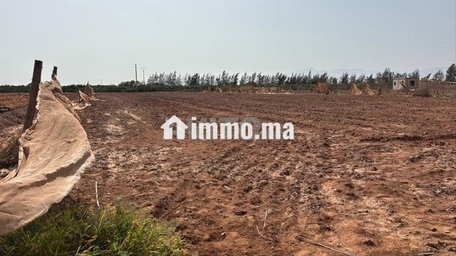 Terrain à vendre à sidi moussa lhemri - Vente Immobilier - Taroudant - photo 2