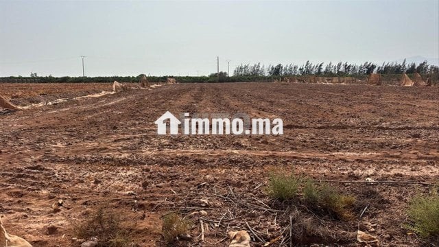 Terrain à vendre à sidi moussa lhemri - Vente Immobilier - Taroudant - photo 3