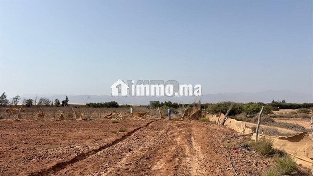 Terrain à vendre à sidi moussa lhemri - Vente Immobilier - Taroudant - photo 4