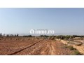 terrain-a-vendre-a-sidi-moussa-lhemri-small-3