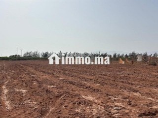 terrain-a-vendre-a-sidi-moussa-lhemri