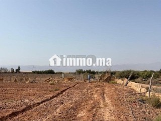 Terrain à vendre à sidi moussa lhemri - Terrain à vendre - Taroudant