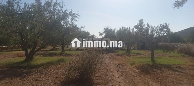 Terrain firrrma 18km Marrakech bon afir - Vente Immobilier - Marrakech - photo 2