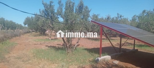 Terrain firrrma 18km Marrakech bon afir - Vente Immobilier - Marrakech - photo 4