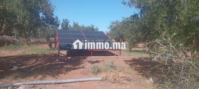 Terrain firrrma 18km Marrakech bon afir - Vente Immobilier - Marrakech - photo 5
