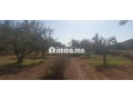 terrain-firrrma-18km-marrakech-bon-afir-small-1