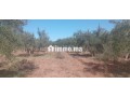 terrain-firrrma-18km-marrakech-bon-afir-small-2