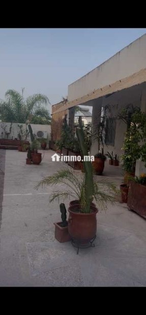 Villa à vendre à Tanger - Vente Immobilier - Tanger - photo 4