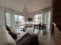 location-apprt-2-ch-meuble-a-cfc-sans-vis-a-vis-small-15