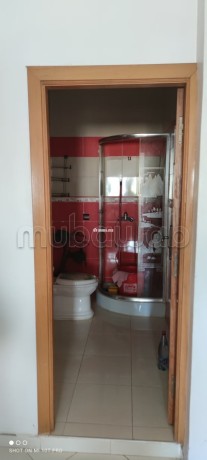 a-louer-ideal-pour-des-professionnels-big-7
