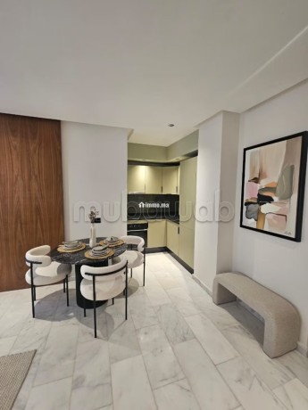 superbe-appartement-a-louer-a-ferme-bretonne-hay-arraha-1-chambre-bien-meuble-big-9