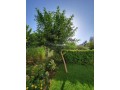 appartement-meublee-en-location-small-4