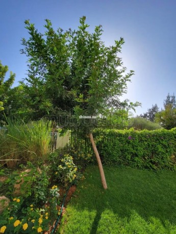 appartement-meublee-en-location-big-4