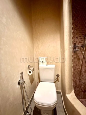 magnifique-appartement-atypique-avec-grande-terrasse-au-coeur-du-gueliz-big-14