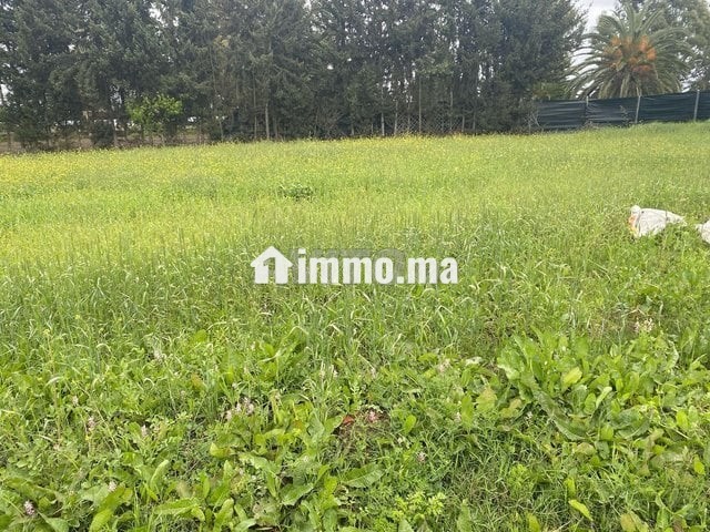 5000متر للبيع بالقيصري - Vente Immobilier - Kenitra - photo 2