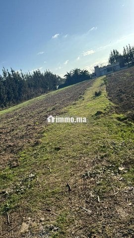 5000متر للبيع بالقيصري - Vente Immobilier - Kenitra - photo 3