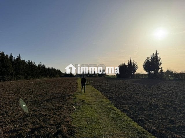 5000متر للبيع بالقيصري - Vente Immobilier - Kenitra - photo 4