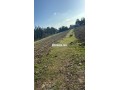 5000mtr-llbyaa-balkysry-small-2