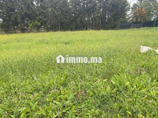 5000متر للبيع بالقيصري - Terrain à vendre - Kenitra