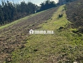 5000متر للبيع بالقيصري - Terrain à vendre - Kenitra