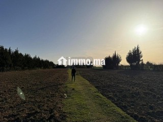 5000متر للبيع بالقيصري - Terrain à vendre - Kenitra