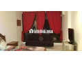 sharaa-alnkhyl-hy-alryad-small-2