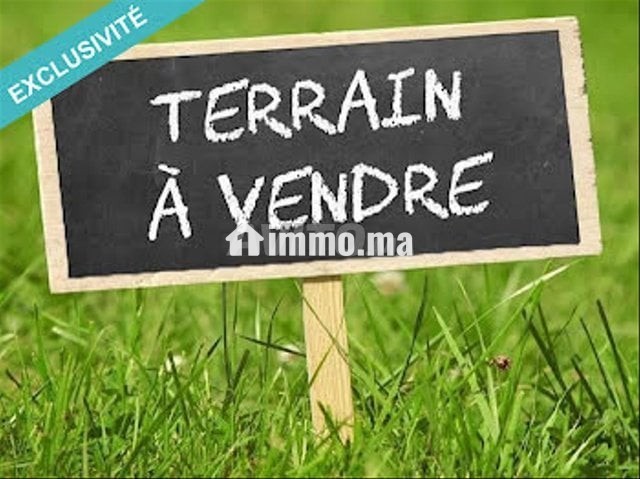 Terrain 23ha Agricole Région Berrechid - Vente Immobilier - Berrechid - photo 1