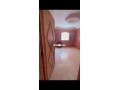 shk-llkraaa-msloh-onky-balmhamyd-sharaa-alnkhyl-small-1
