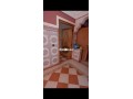 shk-llkraaa-msloh-onky-balmhamyd-sharaa-alnkhyl-small-2