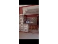 shk-llkraaa-msloh-onky-balmhamyd-sharaa-alnkhyl-small-4