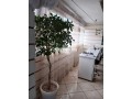 122022-vente-local-a-marrakech-gueliz-de-125-m2-small-14