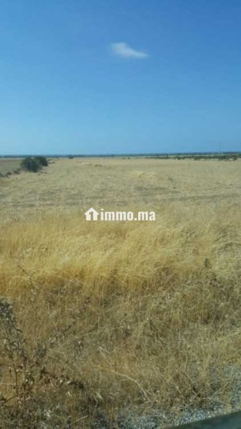 Terrain agricole à vendre à Bouznika - Vente Immobilier - Bouznika - photo 1