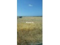 terrain-agricole-a-vendre-a-bouznika-small-0