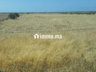 terrain-agricole-a-vendre-a-bouznika