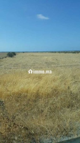 terrain-agricole-a-vendre-a-bouznika-big-0