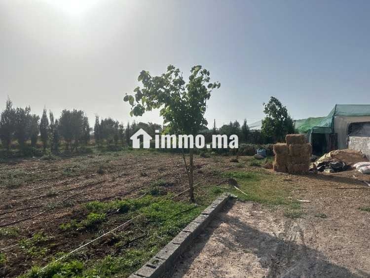 Ferme équipée Permis de construction 3661m² vente - Vente Immobilier - Casablanca - photo 6