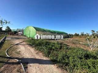 Ferme équipée Permis de construction 3661m² vente - Terrain à vendre - Casablanca