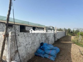 Ferme équipée Permis de construction 3661m² vente - Terrain à vendre - Casablanca