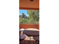 vends-une-perle-rare-a-la-palmeraie-small-10