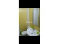 alaaraysh-llkraaa-alyomy-larache-a-loue-small-5