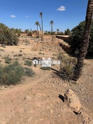 141058-Vente Terrain à Marrakech Palmeraie de 9453 - Vente Immobilier - Marrakech - photo 4