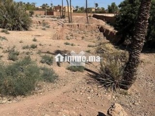 141058-vente-terrain-a-marrakech-palmeraie-de-9453