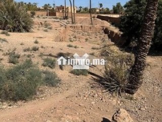 141058-Vente Terrain à Marrakech Palmeraie de 9453 - Terrain à vendre - Marrakech