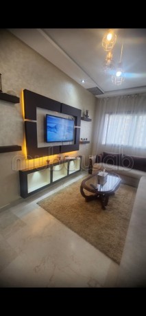 location-saisonniere-en-centre-3-grandes-pieces-antenne-parabolique-residence-securisee-big-0