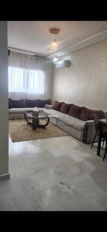 location-saisonniere-en-centre-3-grandes-pieces-antenne-parabolique-residence-securisee-big-11