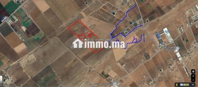 ارض فلاحية مسجلة ومحفظة بواد المالح - Vente Immobilier - Mohammedia - photo 1