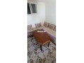 shk-llkraaa-bganb-alksb-osah-alhmam-fy-shfshaon-small-9