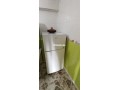 shk-llkraaa-bganb-alksb-osah-alhmam-fy-shfshaon-small-2
