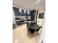 stuo-meuble-neuf-a-palmier-small-2