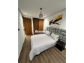 stuo-meuble-neuf-a-palmier-small-3